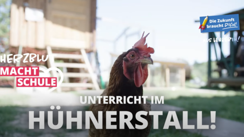 Video Hühner-AG Video Hühner-AG